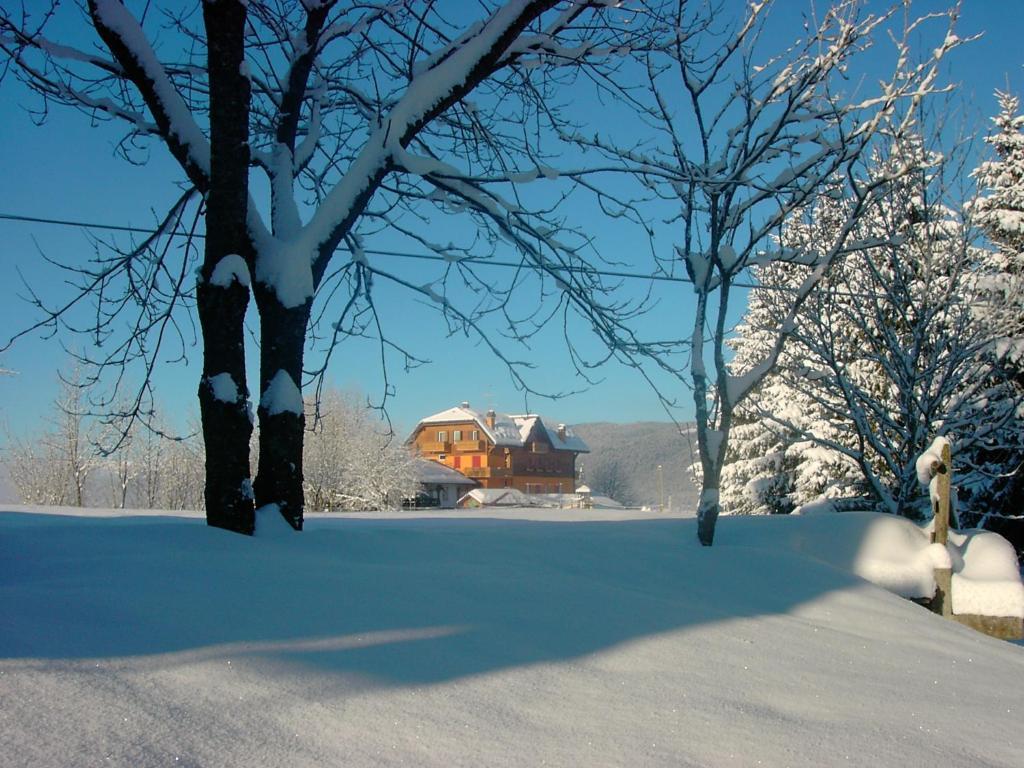 Hotel Da Barba B&B Asiago Extérieur photo
